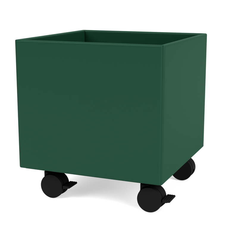Montana Furniture Play Box Aufbewahrungsbox auf Rollen in verschiedenen Farben Pine