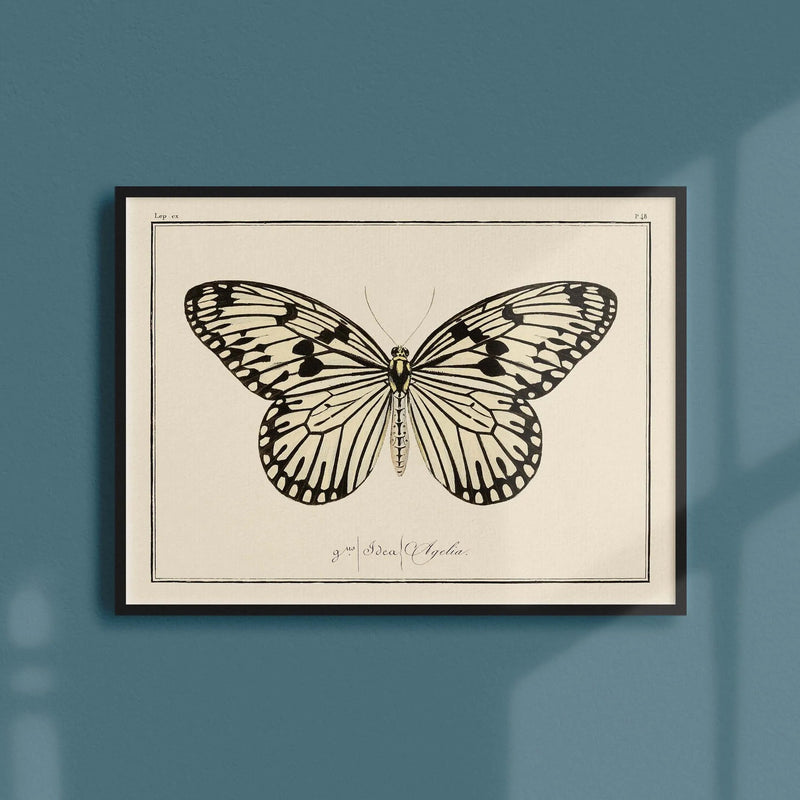 Atelier Bigarade Poster Schmetterling - Teller Nr. 48