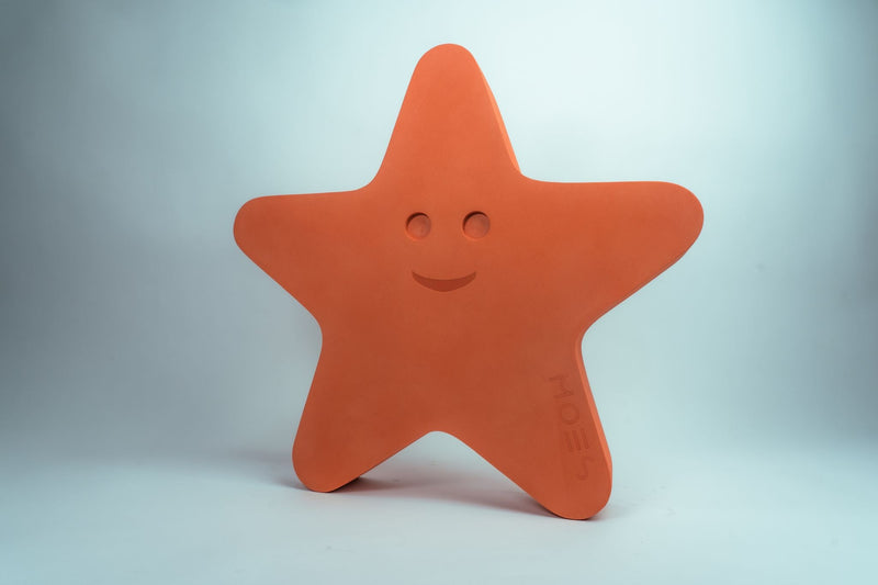 MOES Sea Life - Starfish